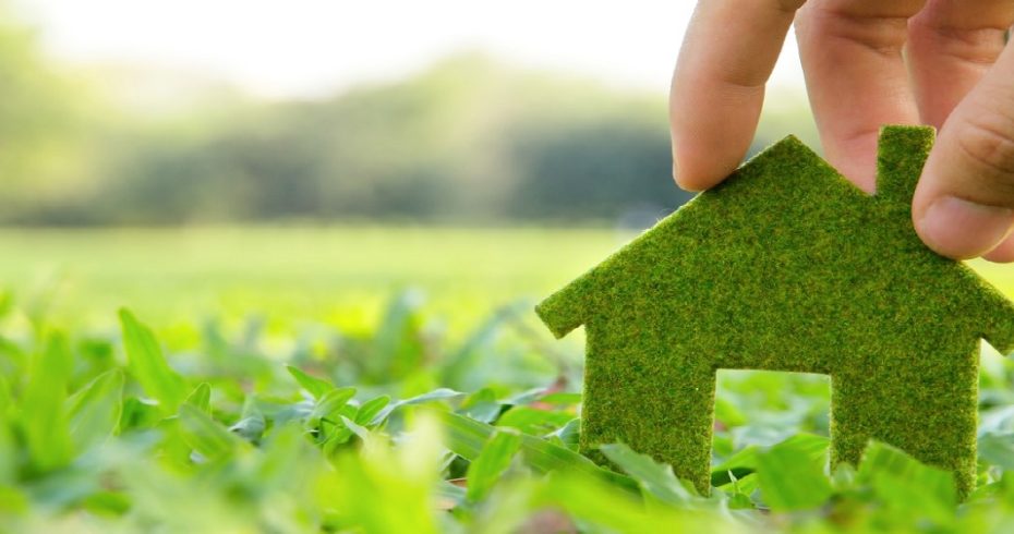 O que é Sustentabilidade Doméstica? Como implantar na minha casa?