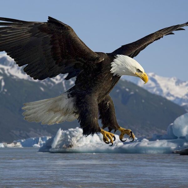 Motivacional e Familiar.