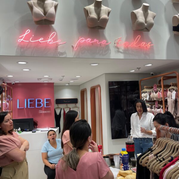 Histórias Que Vendem, Sutileza e Persuasão