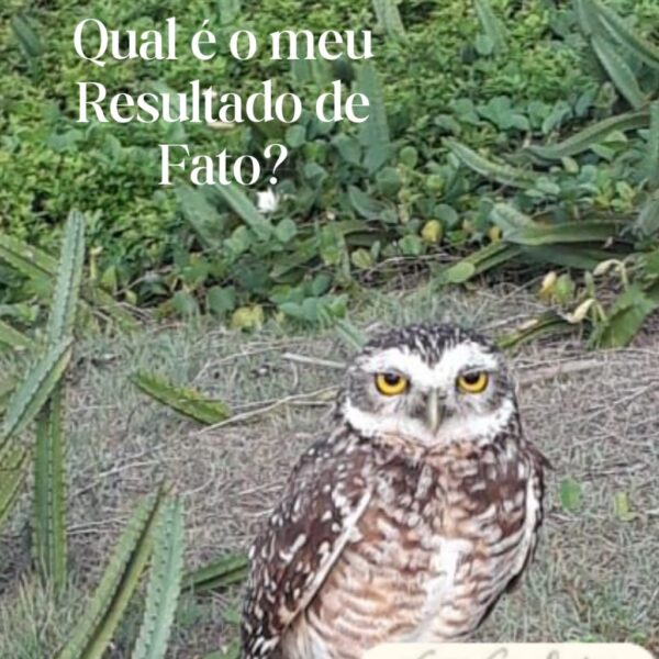 Desenvolvimento Humano