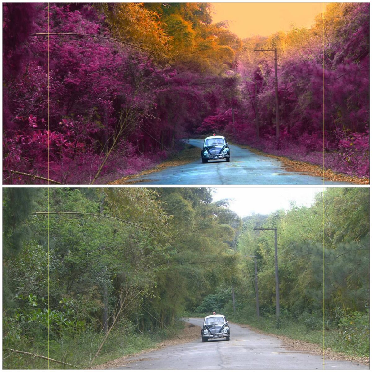 O Poder da Cor na Construção da Imagem