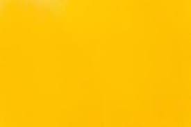 Liderança Pública Transformadora: Como Equilibrar Autoconhecimento, Parcerias e Visão de Futuro