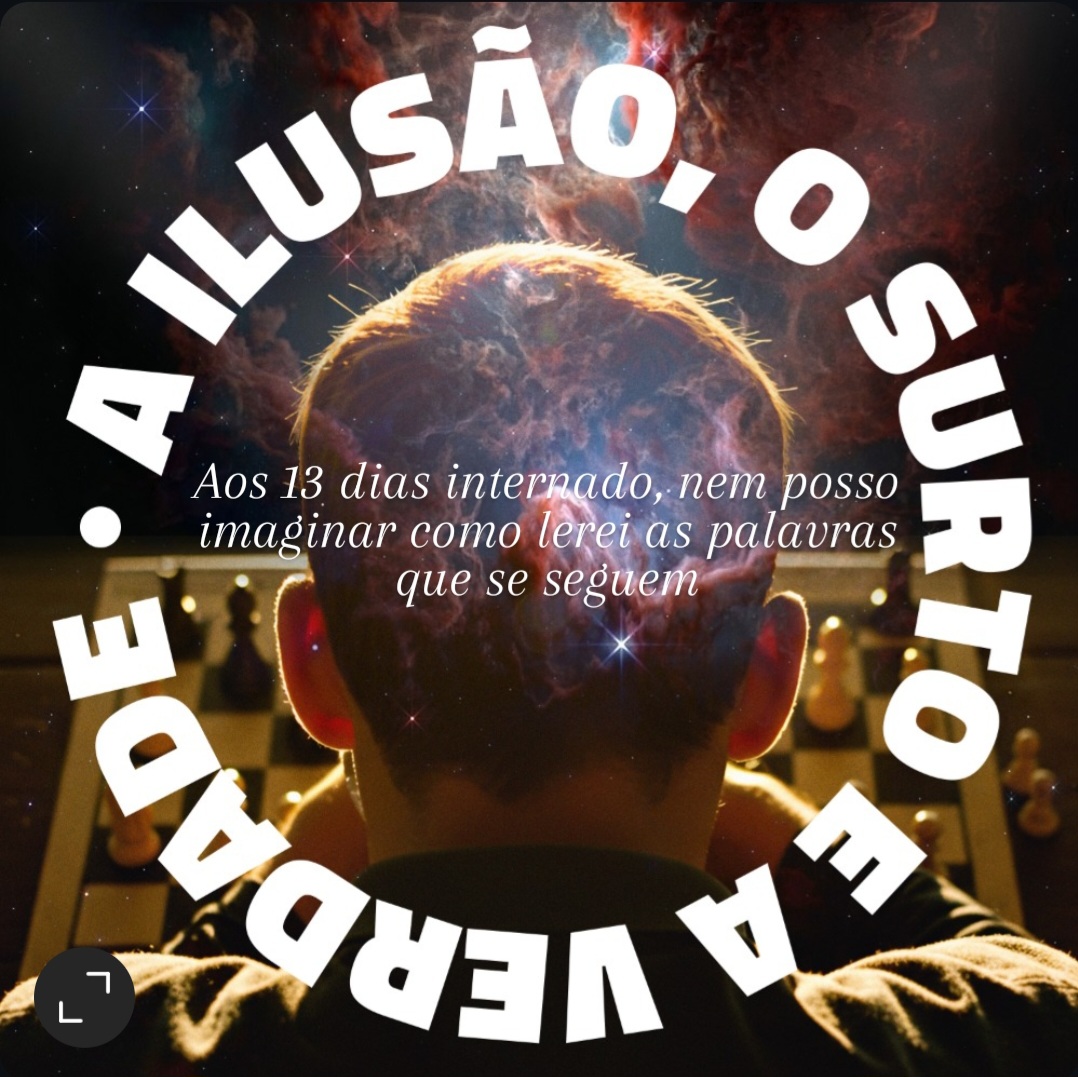 Livro: A Ilusão, O Surto e A Verdade