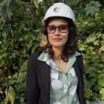 Compreendendo as árvores: problema ou solução