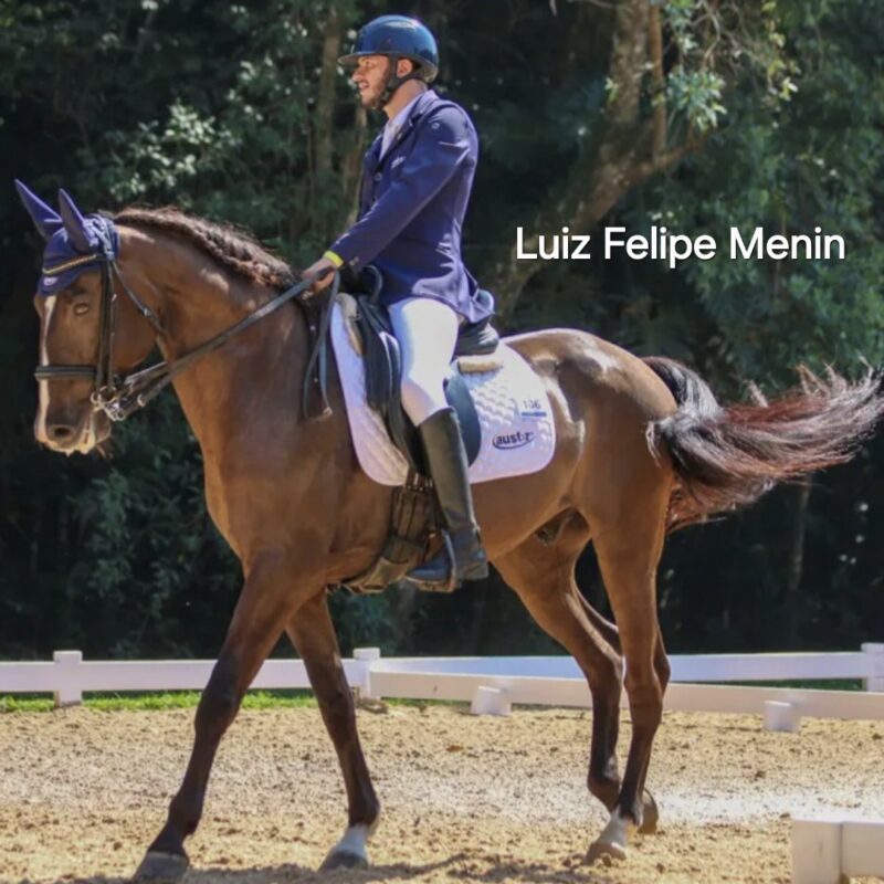 Luiz Felipe Menin