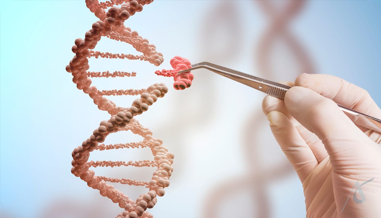 Coach em Serenidade Nutricional | Nutricionista Nutrigenômica | Biomédica Esteta