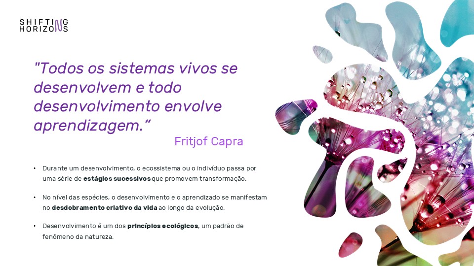 Facilitação em Níveis de Consciência / Lógica de Ação ferramenta Shifting Horizons