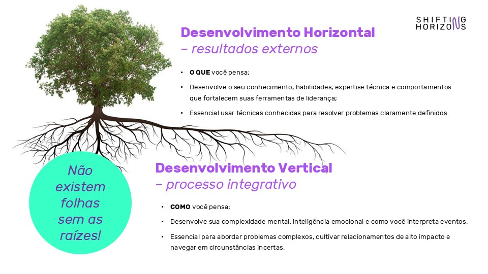 Facilitação em Níveis de Consciência / Lógica de Ação ferramenta Shifting Horizons