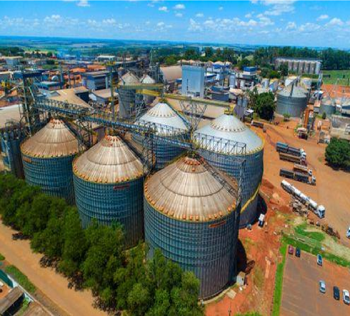 Gestão de Crises no Agronegócio: Como Antecipar Riscos, Tomar Decisões sob Pressão e Proteger a Reputação do Negócio